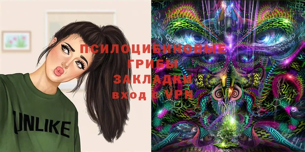 сатива Чекалин
