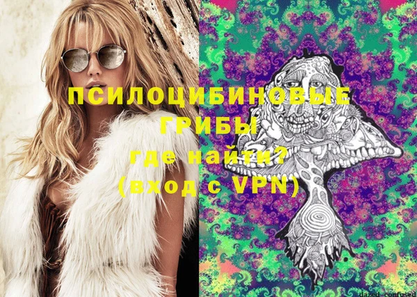 сатива Чекалин