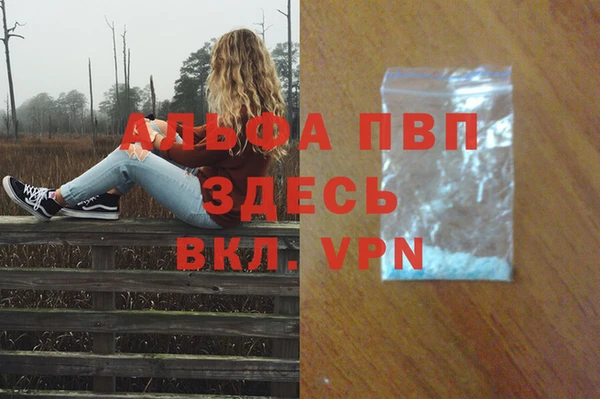 сатива Чекалин