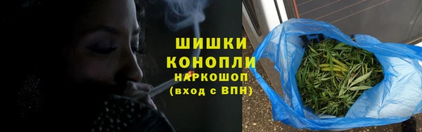 сатива Чекалин