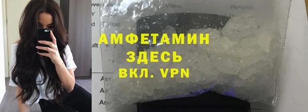 сатива Чекалин