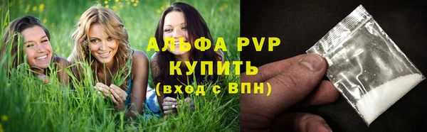 стаф Чегем